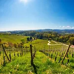 Turisticna Kmetija Dreisiebner Spicnik