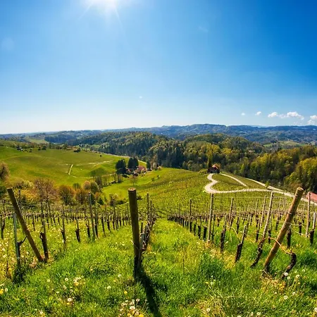 Turisticna Kmetija Dreisiebner Spicnik