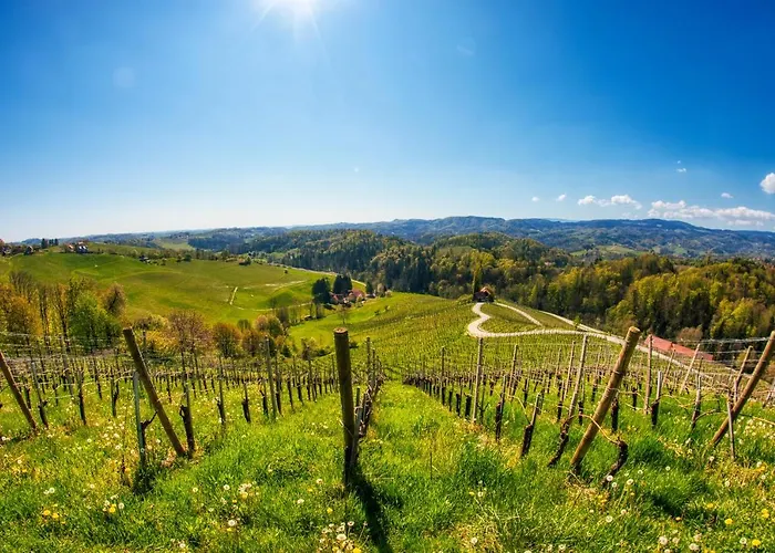 Turisticna Kmetija Dreisiebner Spicnik